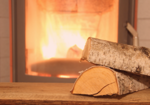 Wood and Pellet Stoves for Alternative Heating